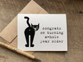 funny birthday card with a cat's butt that says: congrats on turning a-hole year older