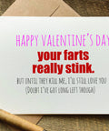 your farts really stink funny rude valentines day card